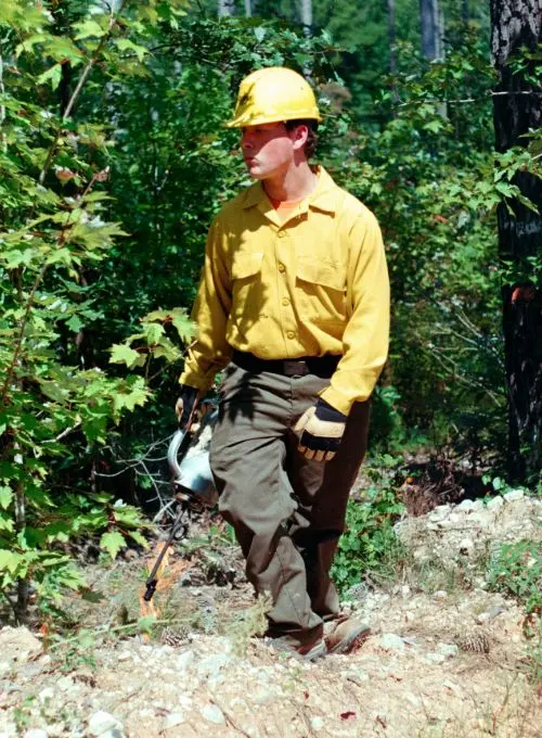 Carlos Henrique Menezes